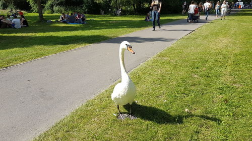 People in park