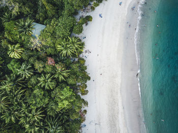 High angle view of trees by sea