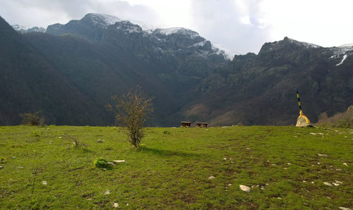 Scenic view of field and mountains against sky