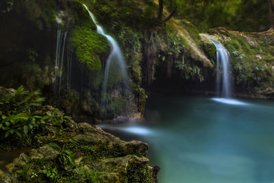 Scenic view of waterfall in forest