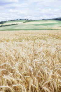 Scenic view of field against cloudy sky