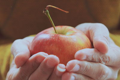 Close-up of hand holding apple