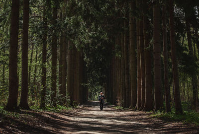 Rear view of man standing amidst trees in forest