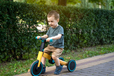 A cute toddler boy of two or three years old rides a bicycle or balance bike in a city park 