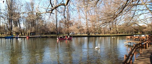 View of ducks floating on lake