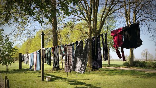 Clothes drying on clothesline