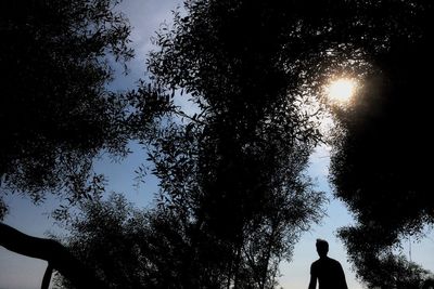 Low angle view of silhouette man standing by trees against sky