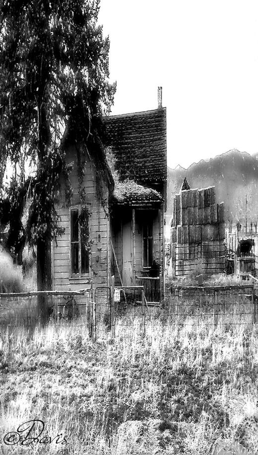 architecture, built structure, building exterior, abandoned, obsolete, house, run-down, damaged, old, deterioration, bad condition, weathered, clear sky, destruction, field, window, residential structure, tree, exterior, ruined