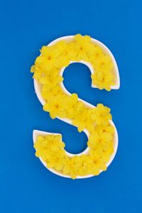 High angle view of yellow pepper against blue background