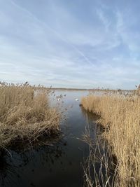 Scenic view of lake against sky