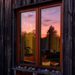 Plants seen through window of house