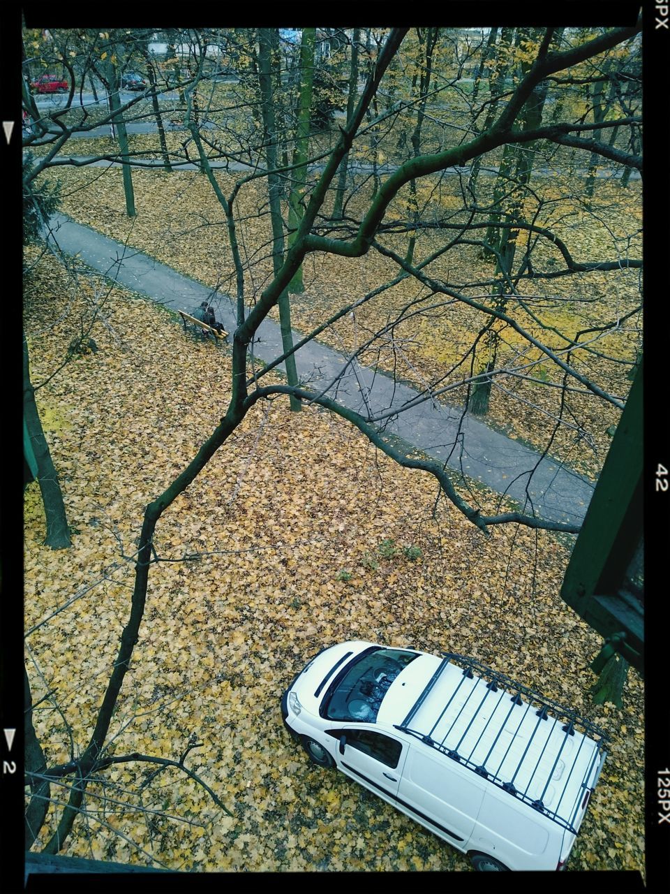 transfer print, tree, auto post production filter, branch, sunlight, absence, built structure, shadow, day, bare tree, no people, high angle view, building exterior, outdoors, empty, nature, chair, architecture, sky, tranquility