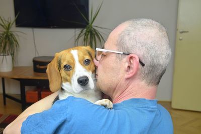 Portrait of a man holding a cute beagle dog. pov of happy dog owner holding puppy beagle dog in his