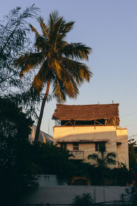 Palm trees by building against sky during sunset