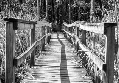 Footbridge amidst trees in forest