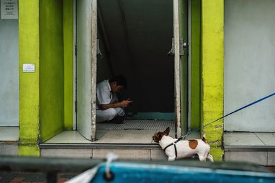 Dog relaxing at night