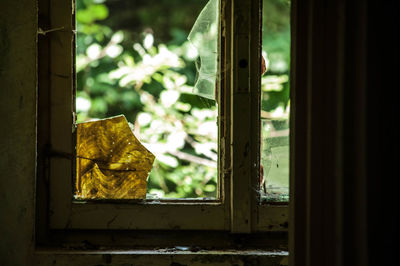 Close-up of broken window