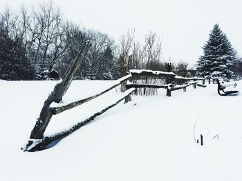 Bare trees in snow covered landscape