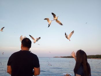 Low angle view of birds flying over sea against clear sky