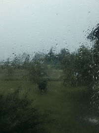 Close-up of water drops on glass