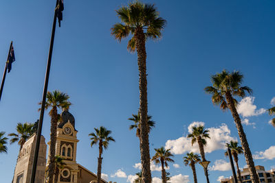 Low angle view of coconut palm trees against sky