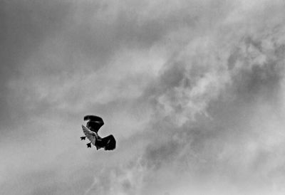 Low angle view of bird flying against sky