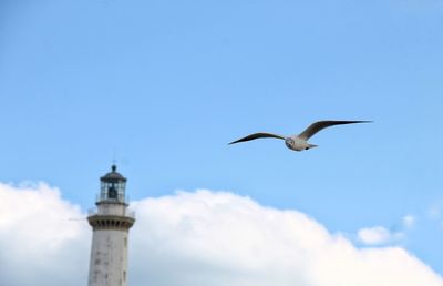 Low angle view of seagull flying against sky