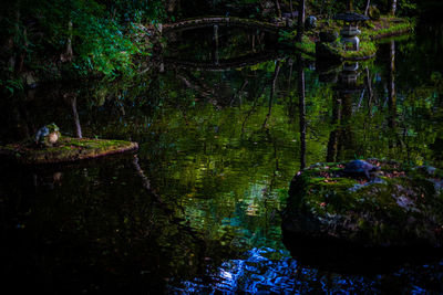 Scenic view of lake by trees in forest