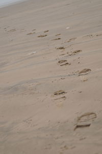 Close-up of sand