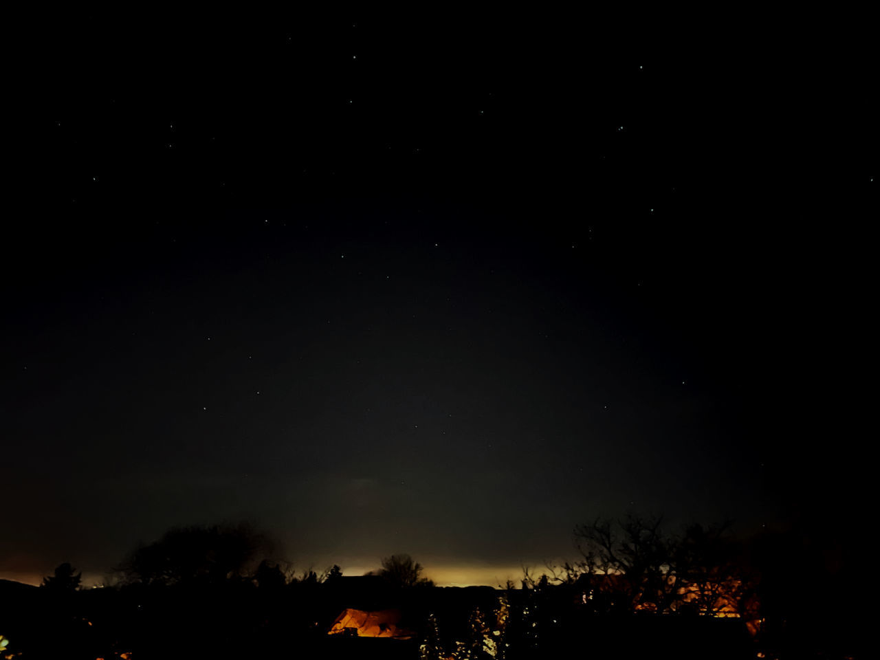 LOW ANGLE VIEW OF SILHOUETTE TREES AT NIGHT