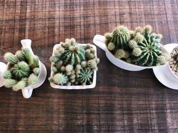 High angle view of vegetables on table