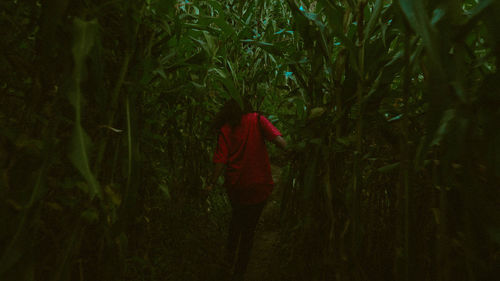 Woman walking on field in forest