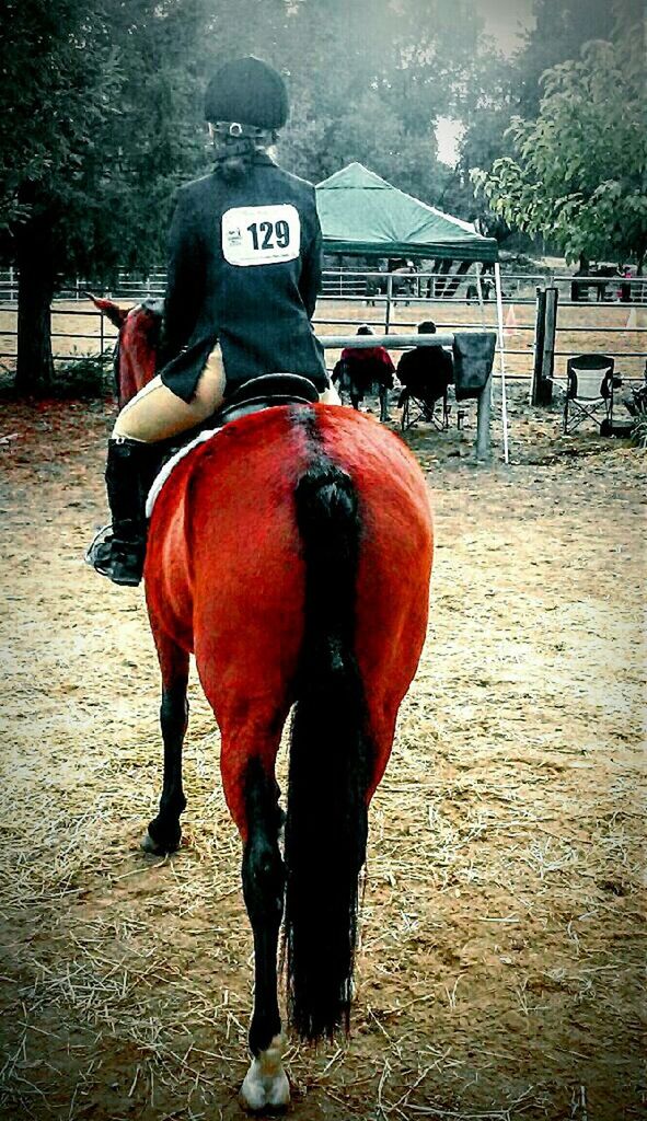 FULL LENGTH REAR VIEW OF MAN WITH HORSE IN MOUTH