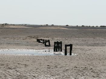 Wooden posts on beach against clear sky