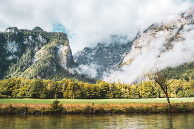 Scenic view of lake and trees against sky