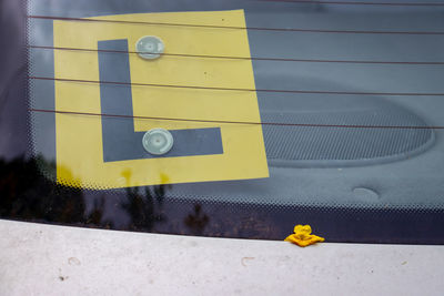 L plate on car window