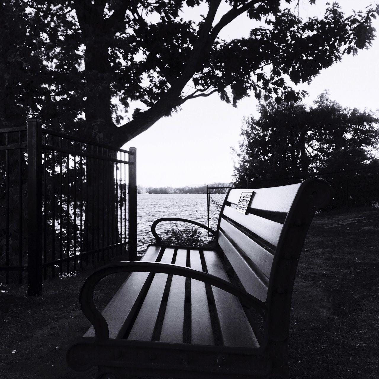 EMPTY BENCH WITH TREES IN PARK