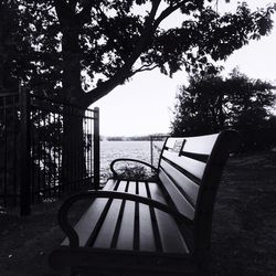 Empty bench in park