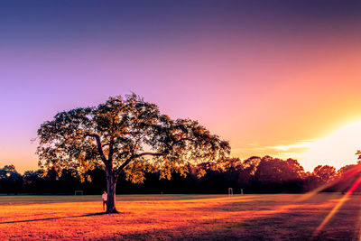 Silhouette trees on landscape against clear sky during sunset