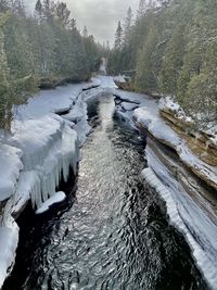 Scenic view of river stream amidst trees