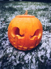 Close-up of pumpkin on stone wall during halloween