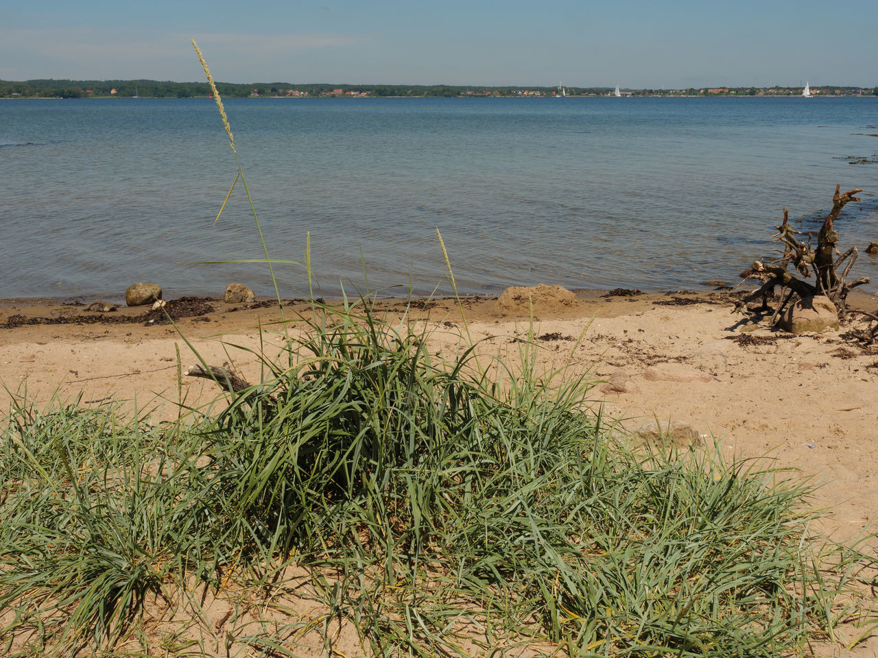 SCENIC VIEW OF BEACH AGAINST SEA