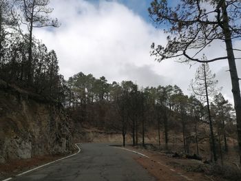 Road amidst trees in forest against sky