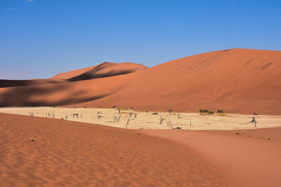 Scenic view of desert against clear blue sky