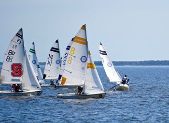 Sailboats sailing in sea against clear sky