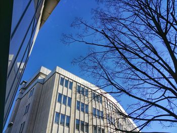 Low angle view of buildings against blue sky