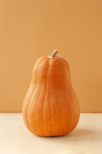  oval pumpkin of the matilda variety on a monochrome beige background, food minimalism trend