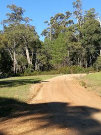 Road amidst trees against sky