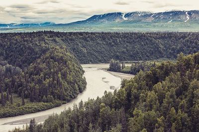 Scenic view of river amidst trees against sky