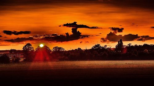 Silhouette trees on landscape against orange sky